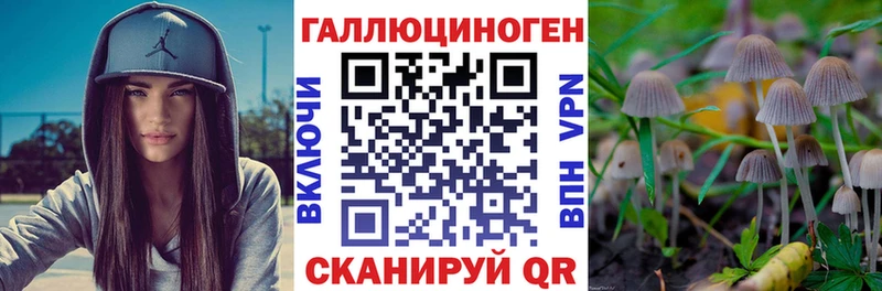 как найти закладки  Десногорск  blacksprut tor  Псилоцибиновые грибы ЛСД 