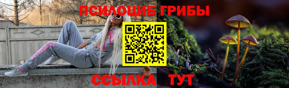 Галлюциногенные грибы Psilocybe  Вход с VPN  Десногорск 