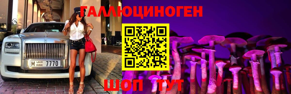 Галлюциногенные грибы Cubensis Десногорск